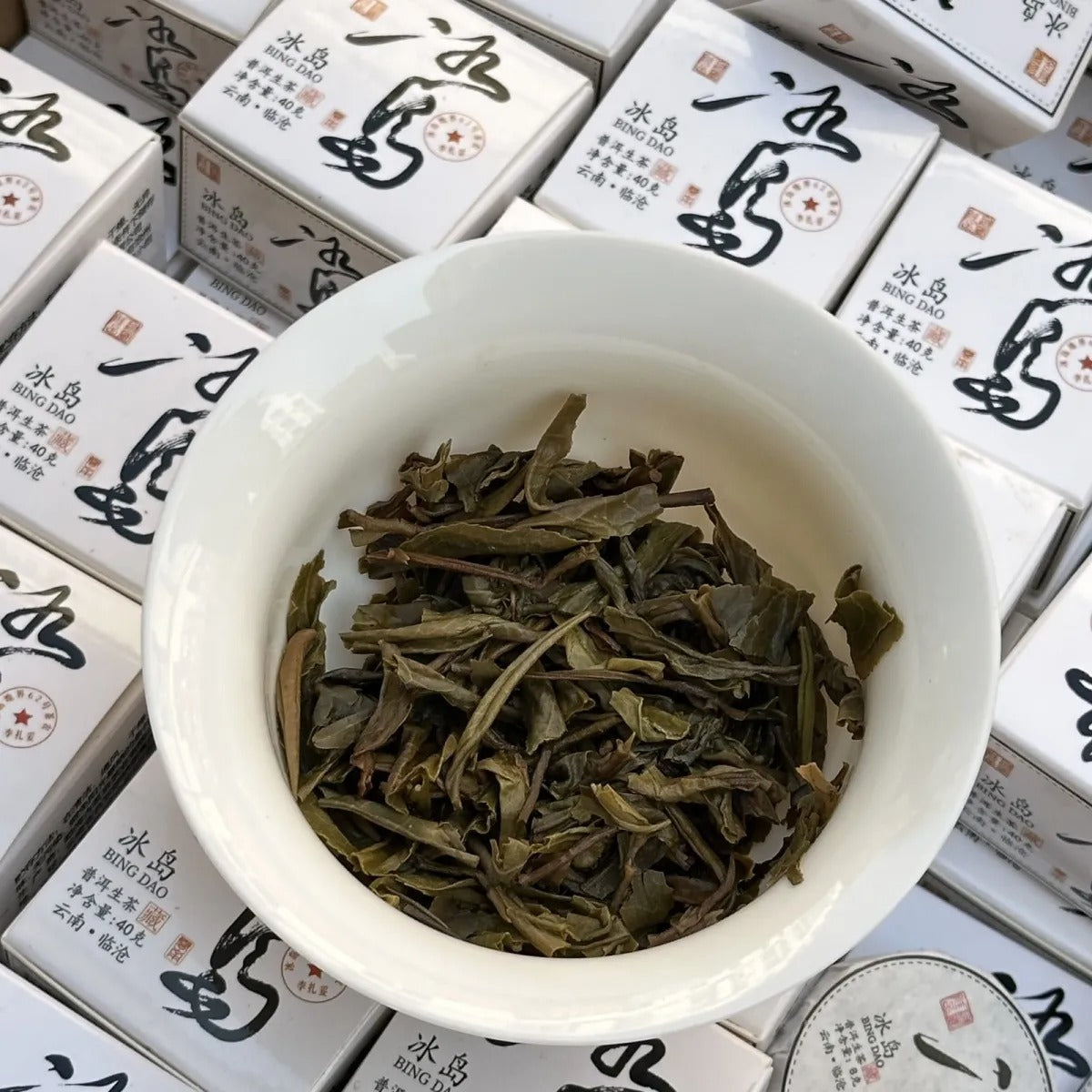 2023 Bingdao Raw Pu-erh Tea Sample Set — 5 Mini Cakes 8g Each | Sheng Puerh Yunnan - Xi Gui Hao 昔归号 -