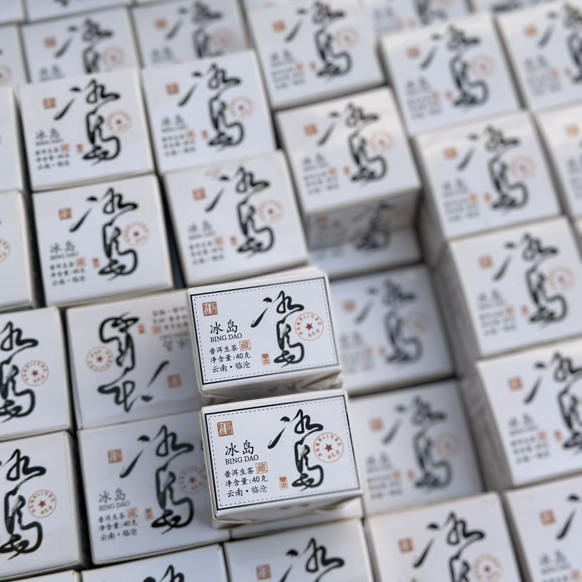 2023 Bingdao Raw Pu-erh Tea Sample Set — 5 Mini Cakes 8g Each | Sheng Puerh Yunnan - Xi Gui Hao 昔归号 -