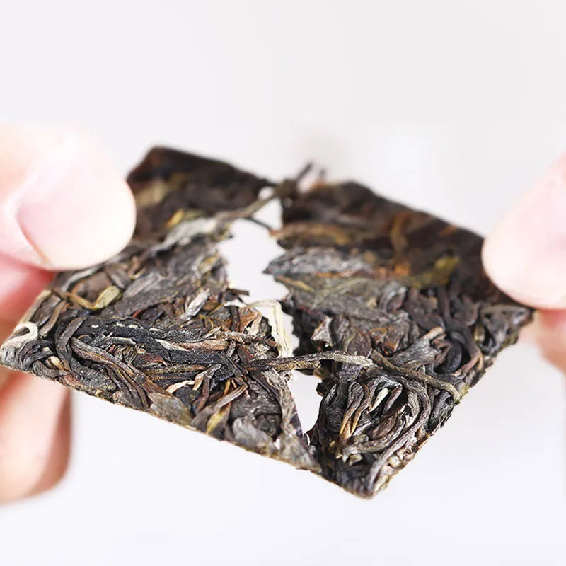 2025 Bingdao Old Village Ancient Tree Raw Pu-erh Mini Brick (10g) | Sheng Puerh - Xi Gui Hao 昔归号 -