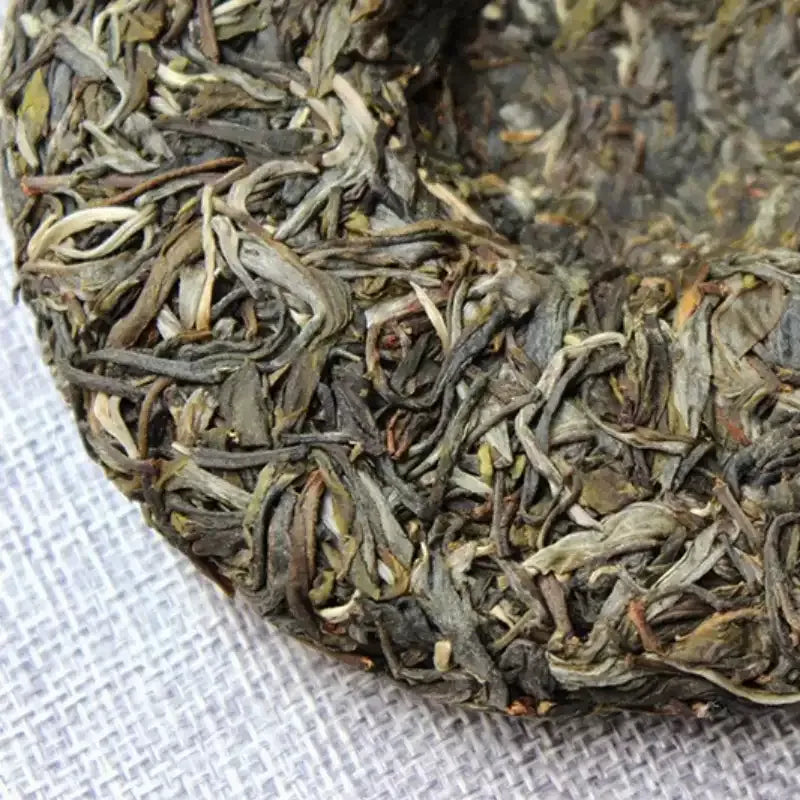 Bingdao 2016 sheng pu-erh cake closeup, silver-white buds visible fat leaves ancient tree Mengku Lincang Yunnan China
