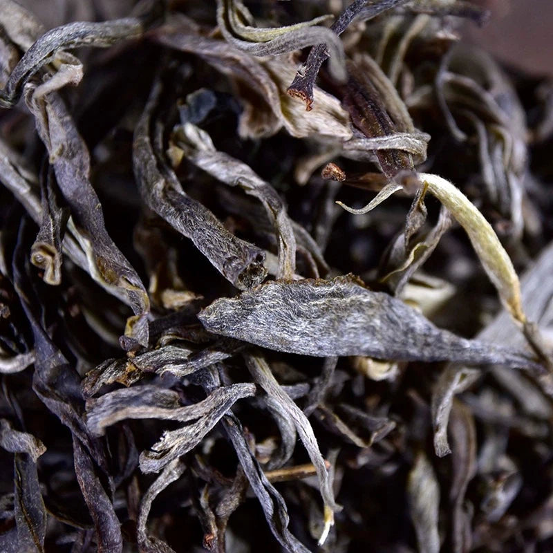 2024 Bulang Mountain Ancient Tree Raw Pu-erh/Sheng Pu-erh Loose Leaf 250g | Xi Gui Hao - Xi Gui Hao 昔归号 -