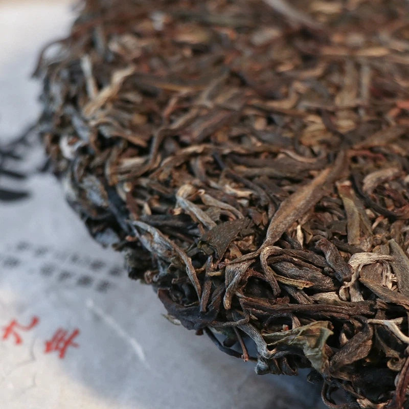 2019 Yunnan Daxueshan 200-Year Old Tree Raw Pu-erh (Sheng Puerh) Cake 357g | Xi Gui Hao - Xi Gui Hao 昔归号 -