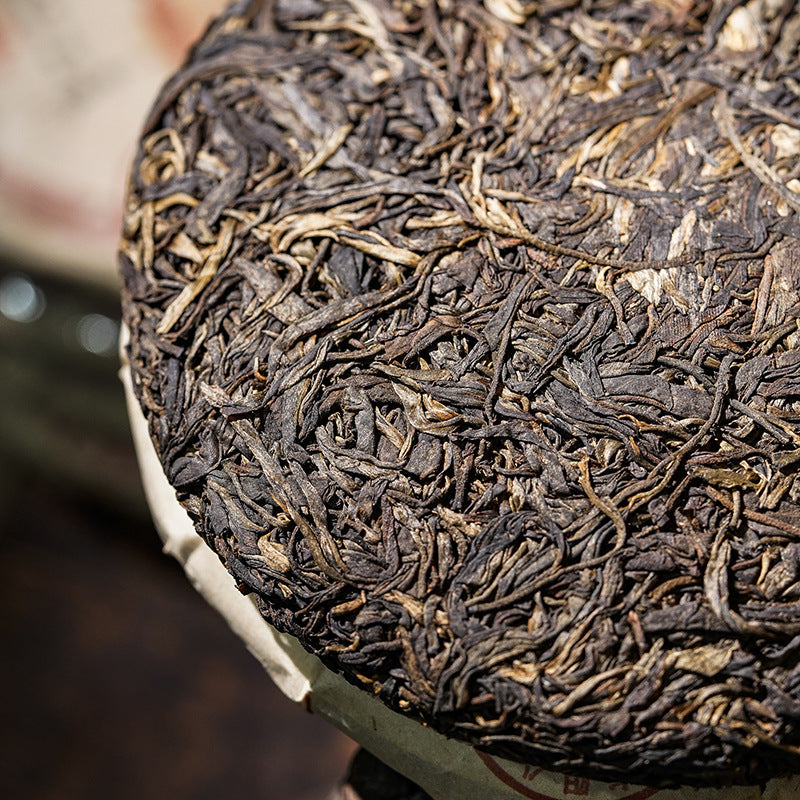 Unwrapped Dingjiazhai raw pu-erh tea cake top view with golden buds — Yiwu sheng puerh, Chinese tea from Yunnan, spring 2025