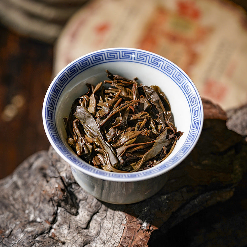 Brewed Dingjiazhai sheng pu-erh tea leaves in a gaiwan — plump Yiwu old tree leaf, Chinese tea from Yunnan single-origin garden