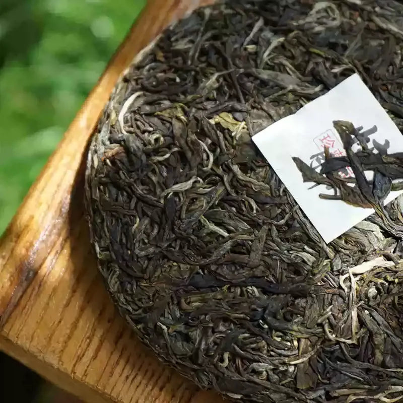 Mangfei 2023 spring raw pu-erh cake top view, old-growth sheng puerh dry leaf detail, Yongde Lincang Yunnan China