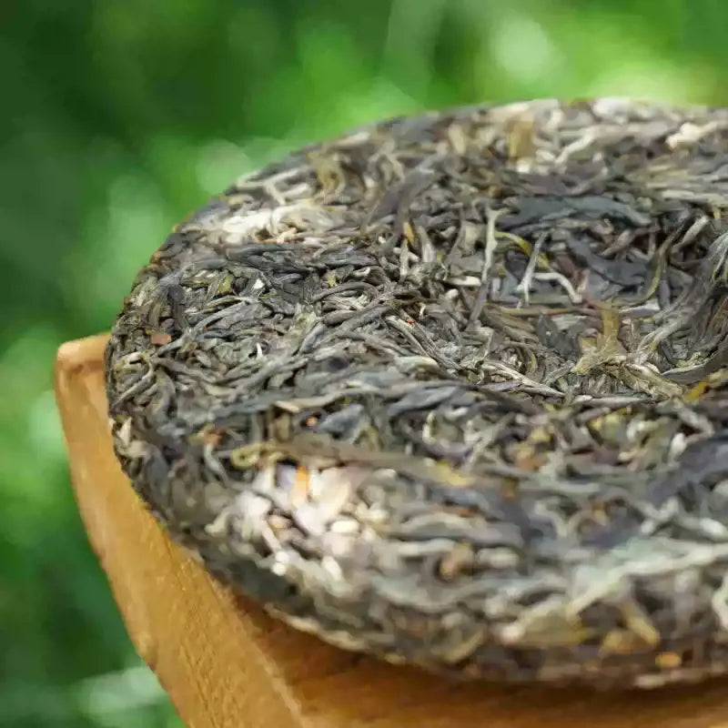 Mangfei 2023 raw pu-erh cake side view, traditional stone-pressed sheng puerh 357g, Yongde Lincang old-growth Yunnan