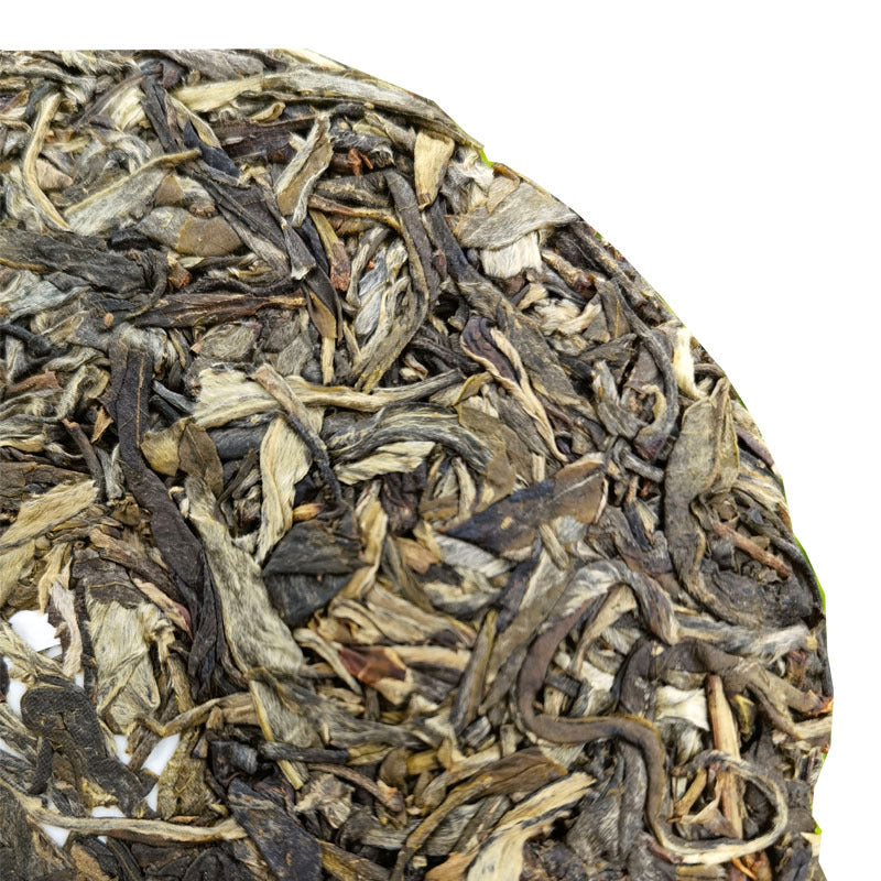Close-up of Xigui sheng pu-erh tea cake leaves showing distinctive black thorn strips and white downy tips — Lincang Chinese raw puerh, willow-leaf shape, 2025 spring harvest
