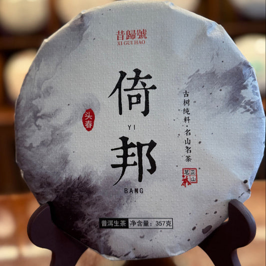 Close-up of dry Yibang raw pu-erh tea leaves showing twisted strips with silver-white tips — medium-small leaf varietal from Yunnan's Six Famous Tea Mountains, spring 2025