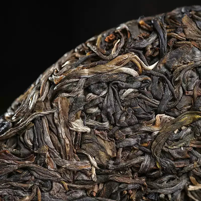Unwrapped Yibang raw pu-erh tea cake top view showing compressed leaves with silver downy tips — single-origin old tree sheng puerh from Yunnan's Six Famous Tea Mountains