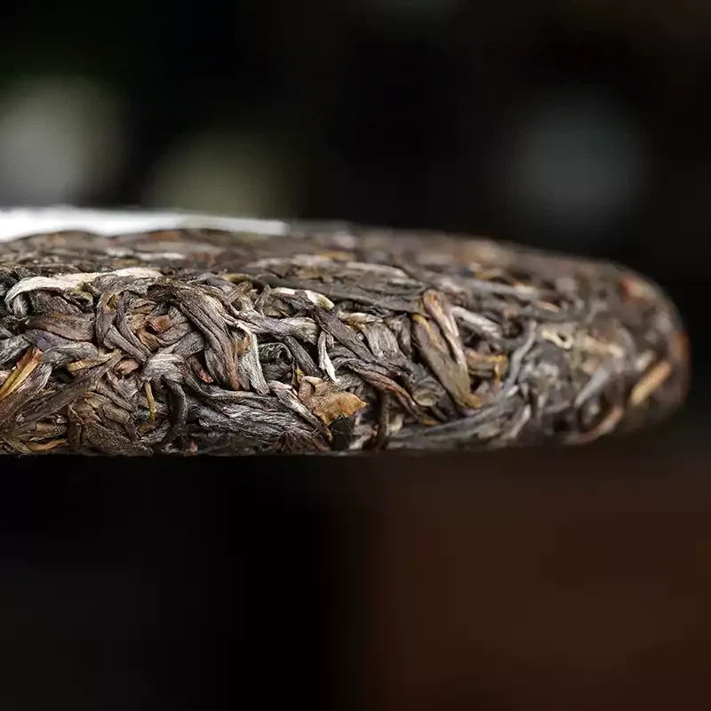 Side view of compressed Yibang sheng pu-erh tea cake showing tightly pressed leaf layers — traditional stone-pressed raw puerh from Yunnan's ancient tea gardens